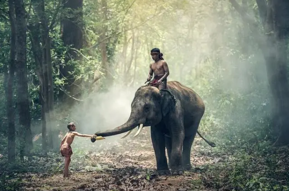 1639788054172926.png image.png