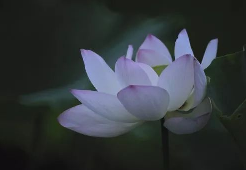 1647832968119247.png image.png