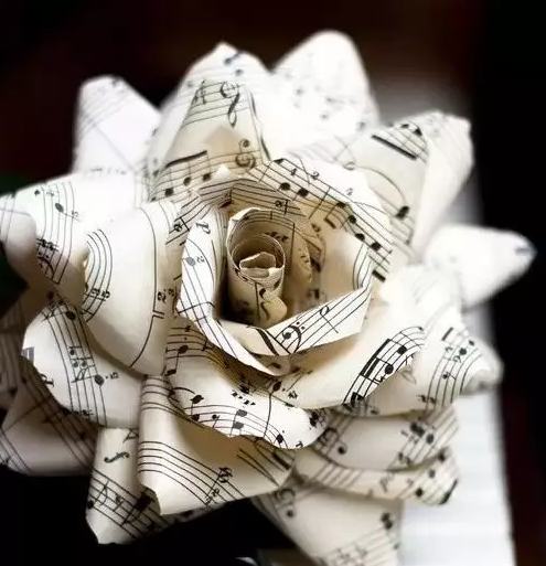 1644800009307232.png image.png